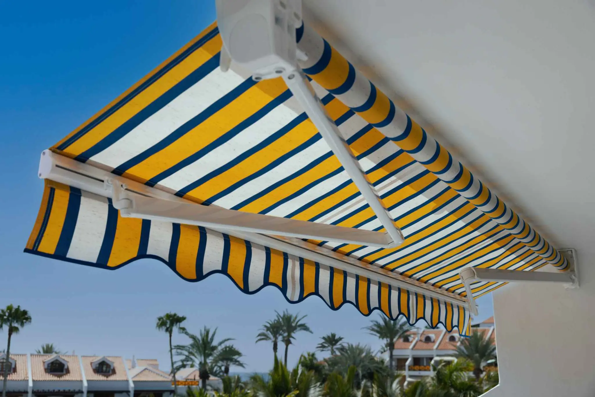 Striped awning with palm trees background.