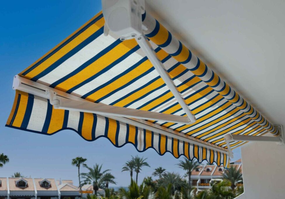 Striped awning with palm trees background.